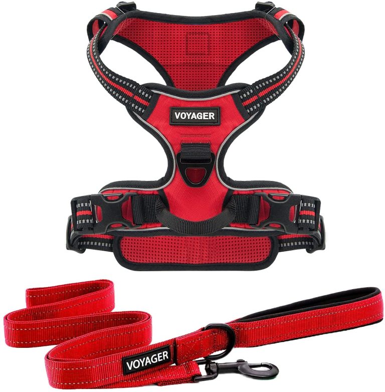 voyager dog harness and leash